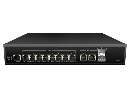 OPL-SWM3-10G0202X2.5G08-Z